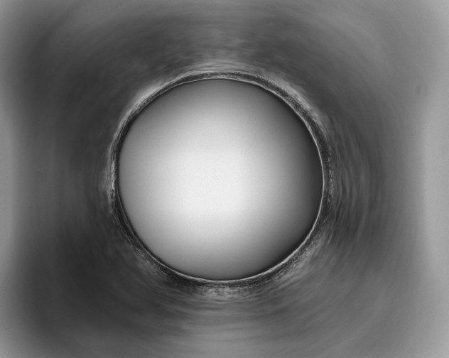 X0000095931366200801251041