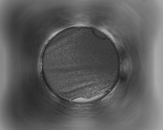 X0000095931367200801251041