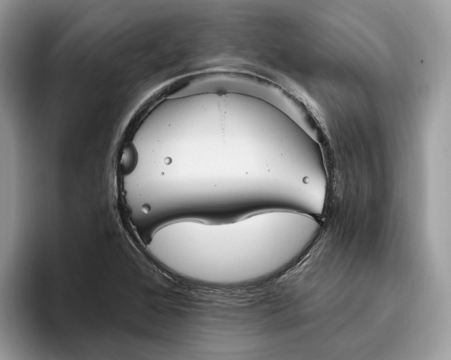 X0000095931368200801251041