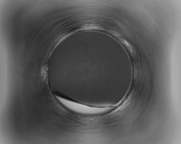 X0000095931369200801251041