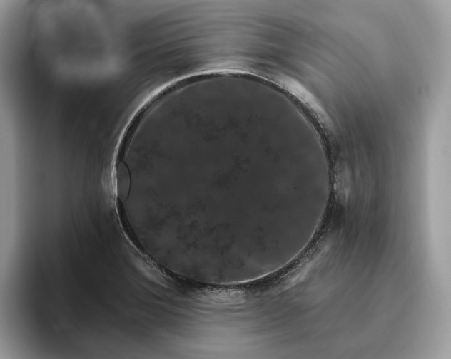 X0000095931372200801251041