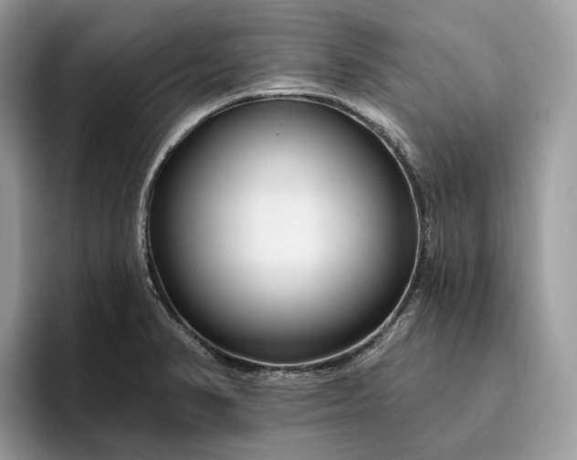 X0000095931374200801251041