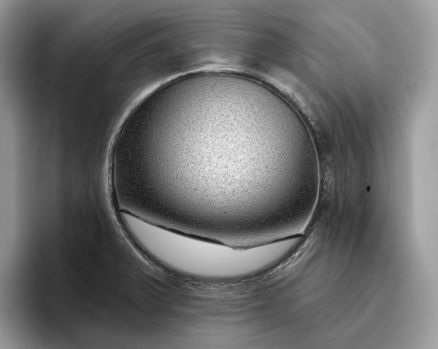 X0000095931375200801251041