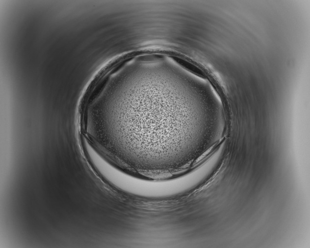 X0000095931376200801251041