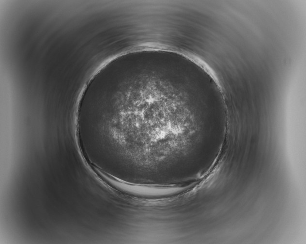 X0000095931381200801251041