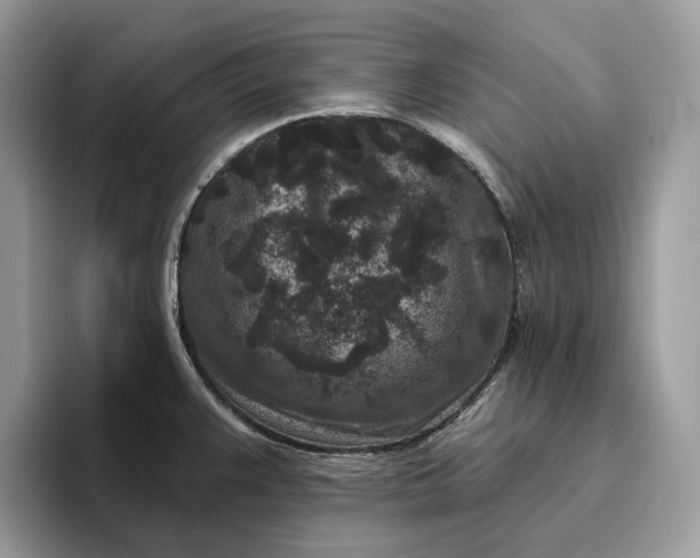 X0000095931383200801251041