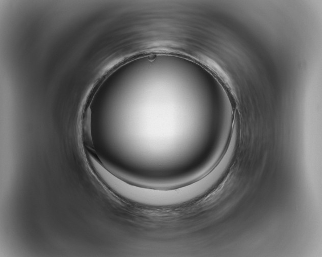 X0000095931384200801251041