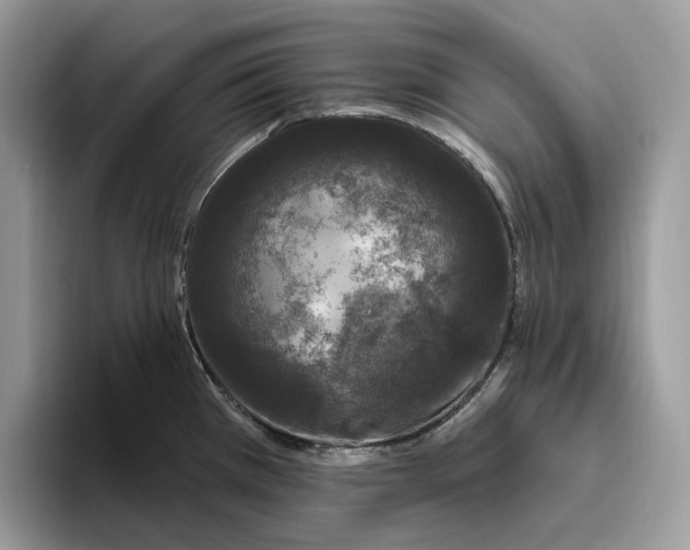 X0000095931385200801251041