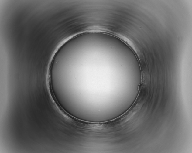 X0000095931387200801251041