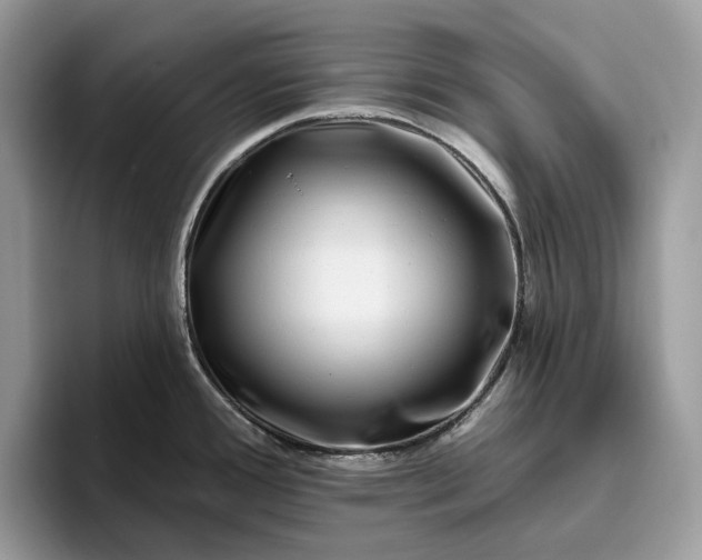 X0000095931388200801251041