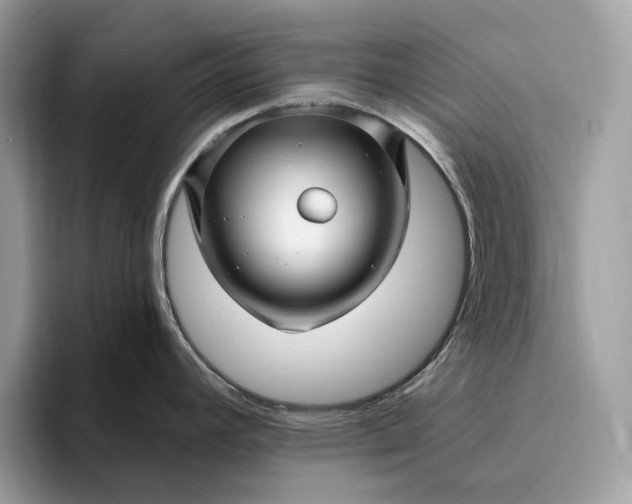 X0000095931392200801251041
