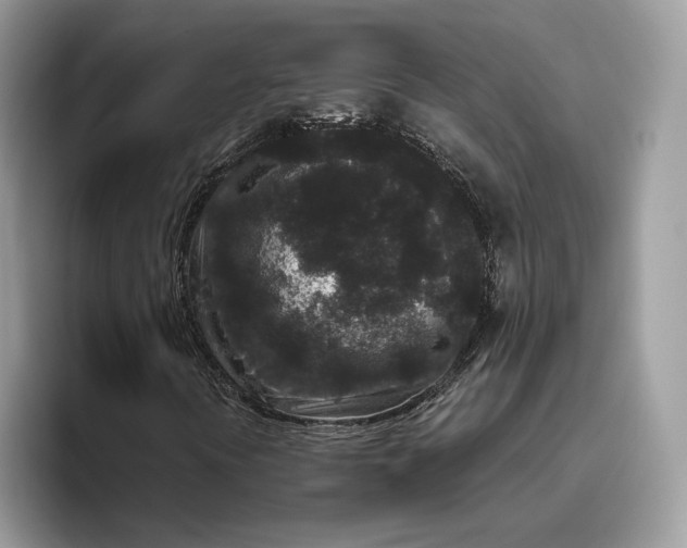 X0000095931394200801251040