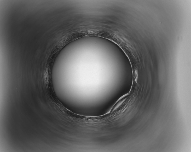 X0000095931395200801251040