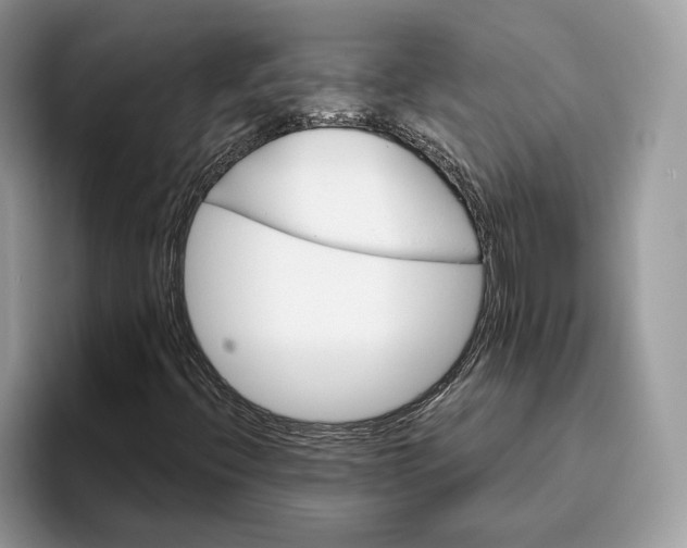 X0000095931396200801251040