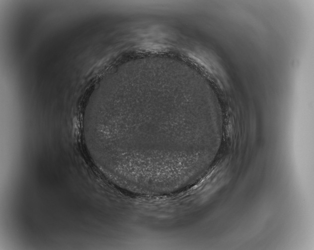 X0000095931397200801251040