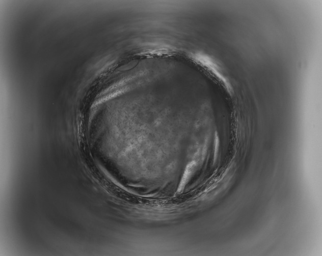 X0000095931399200801251040