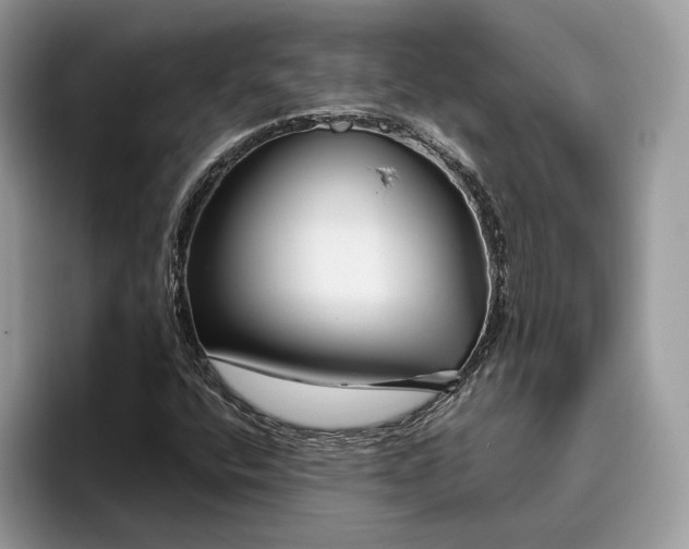 X0000095931400200801251040