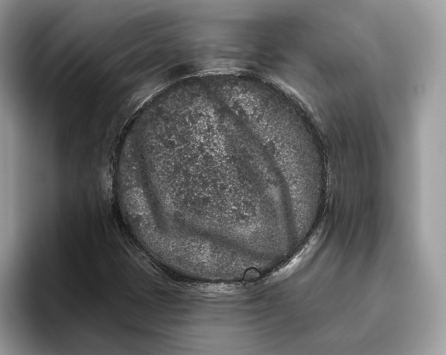 X0000095931401200801251040