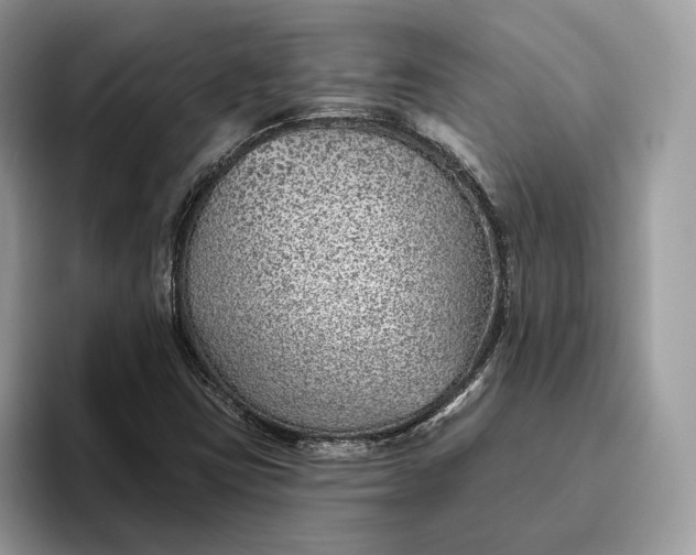 X0000095931403200801251040