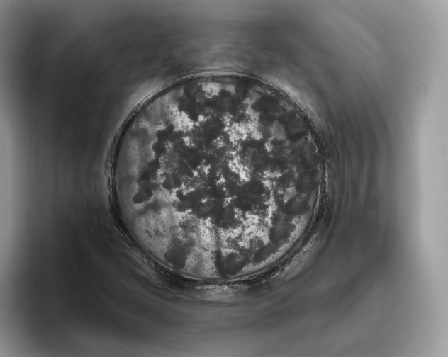 X0000095931405200801251040