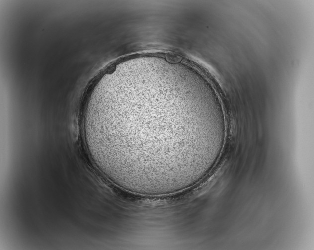 X0000095931407200801251040