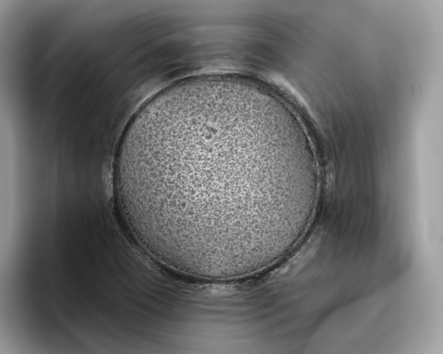 X0000095931409200801251040