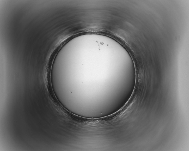 X0000095931410200801251041
