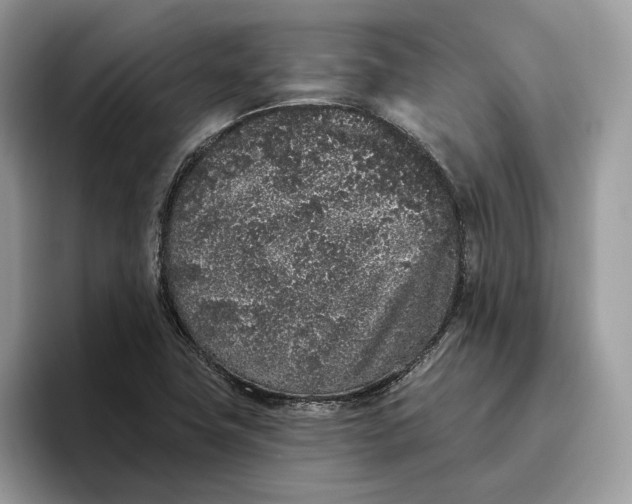 X0000095931411200801251041