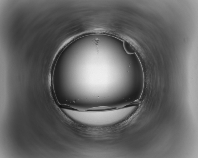 X0000095931420200801251041
