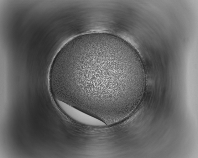 X0000095931423200801251041