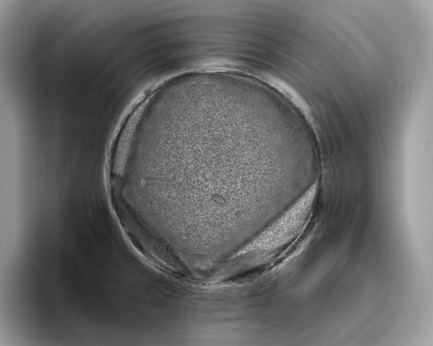 X0000095931429200801251041