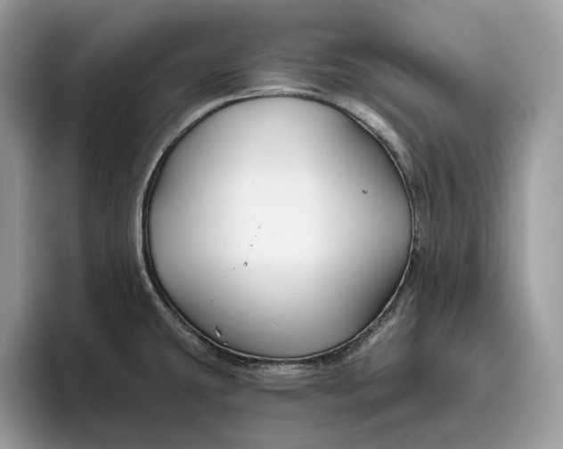 X0000095931431200801251041