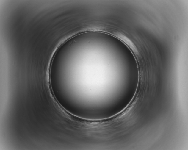 X0000095931436200801251041