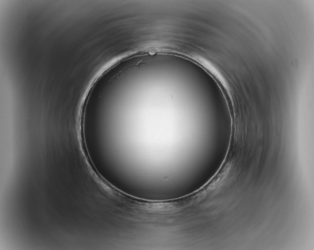 X0000095931437200801251041