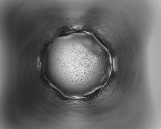 X0000095931443200801251040