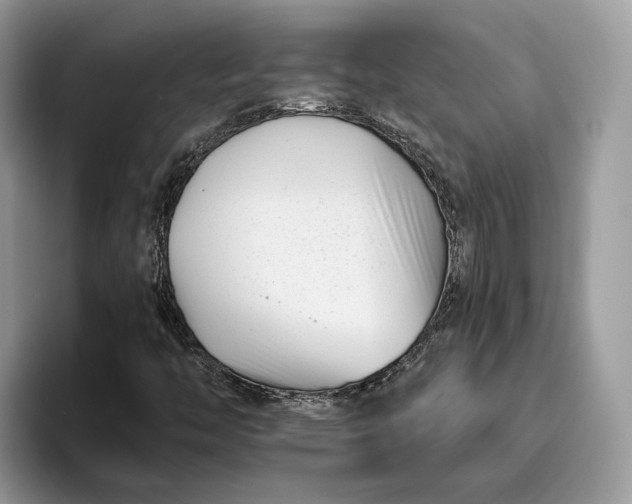 X0000095931446200801251040
