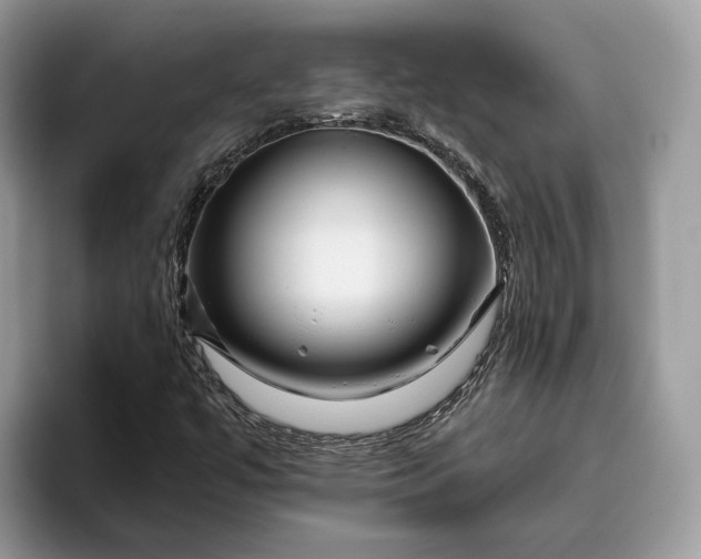 X0000095931447200801251040