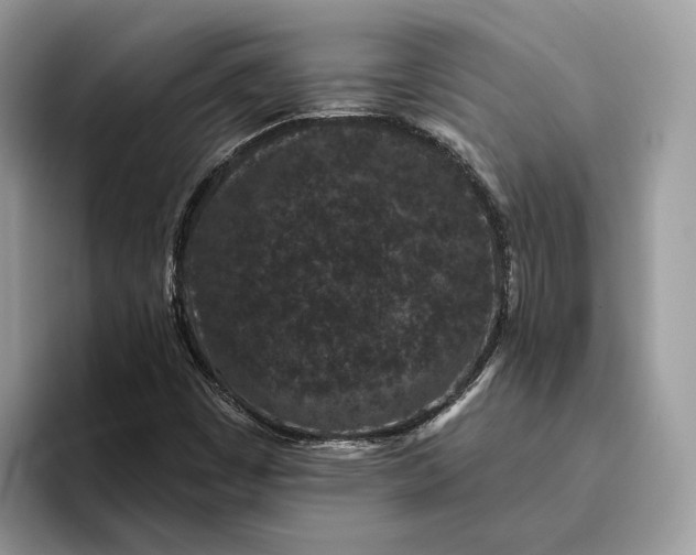 X0000095931449200801251040
