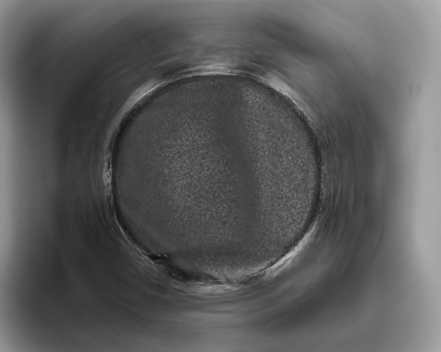 X0000095931450200801251040