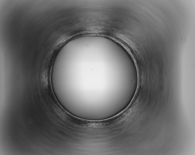 X0000095931451200801251040