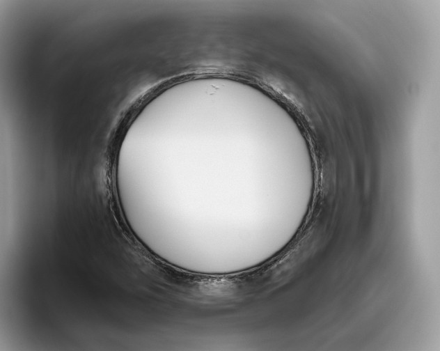 X0000095931454200801251040
