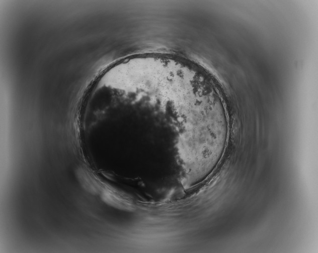 X0000095931455200801251040
