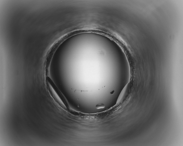 X0000095931456200801251040