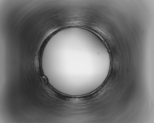 X0000095931458200801251040