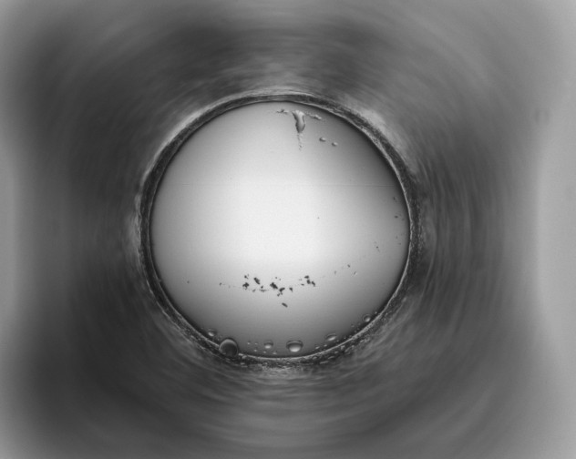 X0000095931460200801251040
