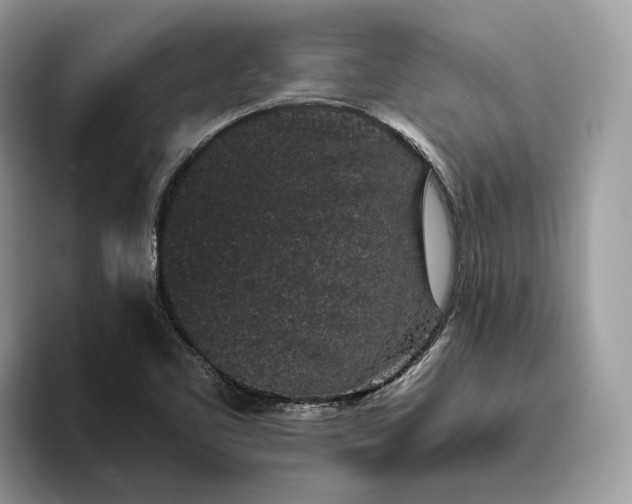 X0000095931461200801251040