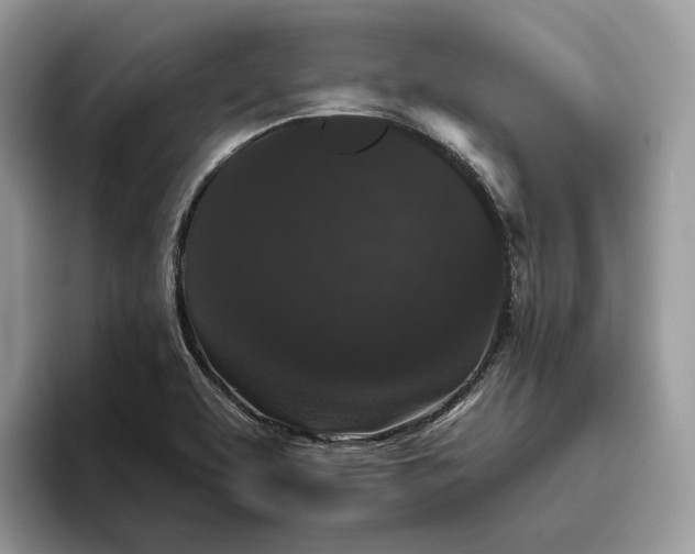 X0000095931463200801251040