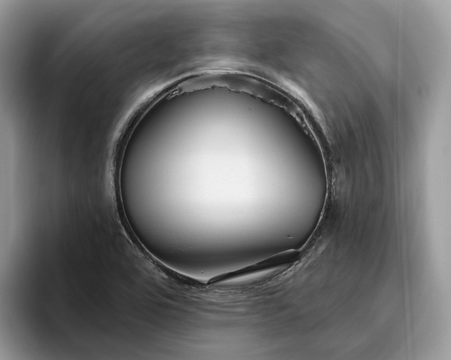 X0000095931464200801251040