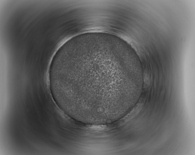 X0000095931466200801251040