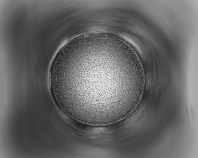 X0000095931467200801251040